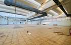 Hala str. Stefan cel Mare Vaslui, langa mall, 9023mp - 11