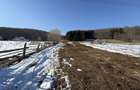 Teren intravilan 4521mp lângă pădure-valea Doftanei -Calea Brasovului - 11