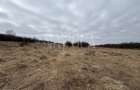 Teren intravilan pentru constructii de vanzare in Feleacu - 3