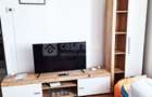 Pacurari - apartament cu 1 camera, PET FRIENDLY - 2