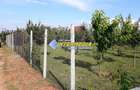 Teren Intravilan 481mp Alba Micesti, utilitati - 3