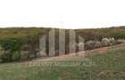 Teren intravilan | De vanzare | 1808 mp | 18 ml deschidere | Seigau - 7