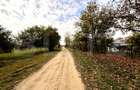 Teren EV și IV cu casă, 29.600 mp, utilități și acces facil, Albești - 10