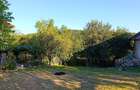Casă de vânzare cu teren 35 ari în satul Prislop, comuna Boiu Mare, Maramureș - 11