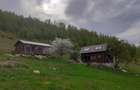Cabana de vanzare, 8000 mp teren intravilan. Plopi - 3