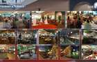 3*** Hotel de Vanzare - Eforie Nord (Central) - 20