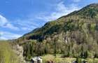 Teren panoramic însorit, utilități, panta mica si pădure, turism sau vacanță - 10