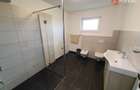 Vila cu 5 camere, 236 mp, teren 5805 mp, gaz, Brestea - Denta  - 38