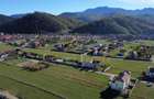 Vinzare teren intravilan  Râșnov, Brașov - 3