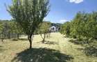TEREN 1.000 MP IN CARTIERUL BUDA – Ramnicu Valcea | Utilitati complete