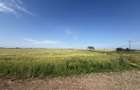 Teren 10 hectare pretabil pt panouri solare-Aricesti Rahtivani - 11