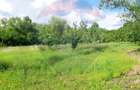 Teren intravilan 6850 mp Simnic, Izvor - 1
