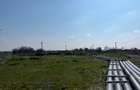 1 Decembrie Strda Pinului 5000m - 6