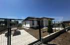 Casa plan parter, zona Narciselor 2 - 3