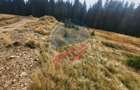 Teren de vanzare in Horezu/Bolca Pietrele Scrise/Valcea - 6