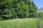 Teren 1600mp intravilan , construcție, fâneață, pădure, râu și acces auto - 4