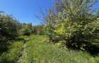 Teren intravilan/934 mp/Lenin Sud - 3