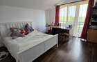 VILA LANGA PARADISUL VERDE si APROPIEREA LACULUI - 5