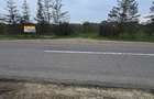 LIVADA  DE VANZARE FOCSANI-DUMBRAVITA  1,8  HA - 37