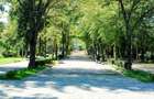 Exclusivitate. Apartament decomandat, Pacul Babes. - 2