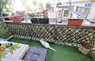 Calea Bucuresti, apartament 2 camere,mobilat,etaj1 - 13