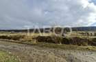 Teren intravilan de vanzare in Rasinari zona Calinis - 890 mp
