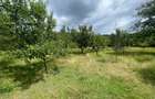 CASĂ INDIVIDUALĂ | 100 MP UTILI | 4.400 MP TEREN | PIANU DE SUS - 13