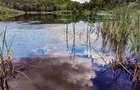 RATE Pensiune Piscina Superba***pe mal Lac Mocearu  70km de Buzau - 72