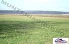 Afumati - Tarla 9, teren agricol in suprafata de 9.200 mp. - 3
