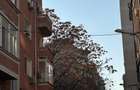 REC3001257 Spatiu comercial Universitate l Bloc Nou - 8