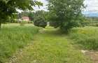 Casa Pensiune in Viile Satu Mare teren 1,63 ha, 11 camere, 10 bai - 3