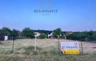 Dumbravita Teren Intravilan 1466mp Front 29m | Langa Padure - 2