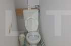 Penthouse, 110 mp, zona Lugoj - 5