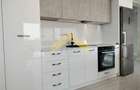 Penthouse 2 camere de inchiriat zona Micalaca - 7