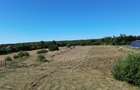 TEREN INTRAVILAN 6.200 MP | MITOCU DRAGOMIRNEI | 180,15 ML DESCHIDERE | 12 KM DE