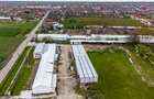 Hale depozitare/producție 2.000 mp si 10.000 mp teren în Pecica - 4