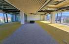 Spatii de birouri PREMIUM (nZEB) 320mp, ZONA CENTRALA - 9