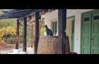 Casa traditionala intr-o zona de vis pe langa Curtea de Arges  - 6