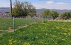 Teren Campina platoul Muscel - 5