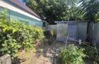 Casa 3 camere zona Dorobantilor-Plantelor - 11