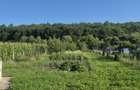 Casuta si teren 1000mp , Valea Magherusului - 11