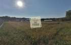 Teren intravilan 3500 mp zona Hamba - 6