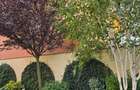 Vila de vanzare in Constanta - 3