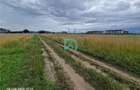 Teren intravilan, 600 mp, Sanpetru, Brasov - 3