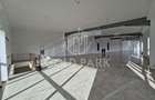 SHOWROOM - Expunere si Vitrina Mare  la Bulevard -Principal- Parcari - 6