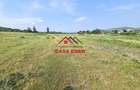 Teren intravilan in Campina, 7500mp--35e - 8