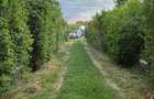 Domeniu rural, gospodarie/multifunctionala cu casa, livada, vie - 40
