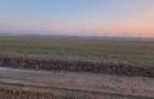Teren intravilan 5000 mp de vânzare   Cheiul Dâmboviței apropiere A2 - 7