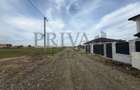 Teren intravilan, 838 mp, fs 19 mp, Mosnita Veche - 2