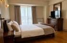 DUPLEX CENTRAL - SPLAIUL UNIRII - MOBILAT SI UTILAT + SAUNA - 3